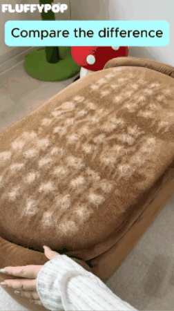 Say goodbye to pet hair – the cute way!
