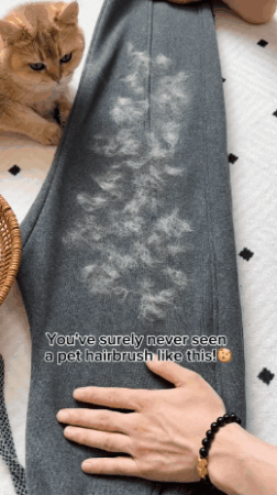 Say goodbye to pet hair – the cute way!